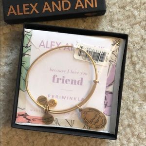Alex and Ani Bracelet